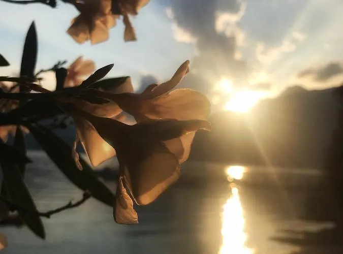 Gli Oleandri Konukevi Bellano